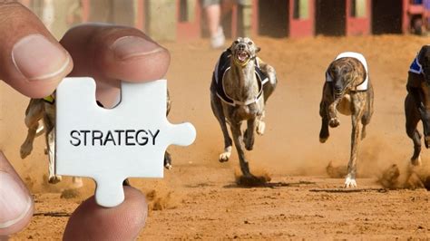 greyhound betting strategies|A Guide to the Best Greyhound Betting Strategies.